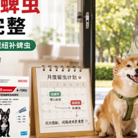 刚给狗滴完驱虫药能马上洗澡吗？纽威特的正确洗澡时间这样判断