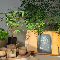 李泽厚的《美的历程》值得买,但容易半途而废:下手前先弄清三个误解