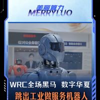 WRC数字华夏