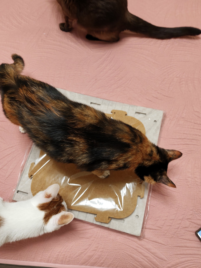 猫狗窝
