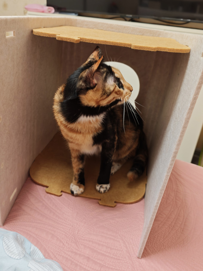 猫狗窝