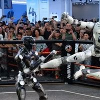 众擎CEO：人形机器人要做“智体双全”全面发展的“三好学生”！