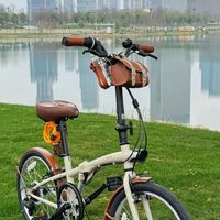 折叠车改装的钱别乱花：翻遍全网改装帖，先改哪、缓改哪、哪些是智商税，我替你排好了