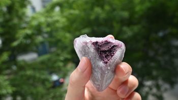 五芳斋冰粽2.9元、绿豆糕0.88元：端午后这三样清仓货，只有一样值得囤