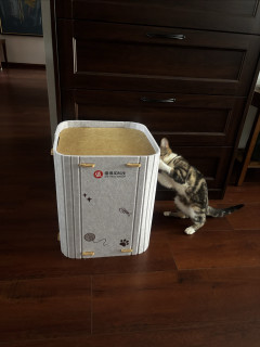 可爱又实用，这款毛毡猫窝体验分享
