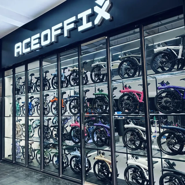 ACEOFFIX D10卖了9个月，最早一批车主已经骑到1750公里：香在哪、坑在哪，一次说清