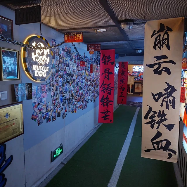 肌肉狗火了，假货也来了：官方点名"低价拼单"和"工厂尾货"，全网真实口碑和避坑指南都在这