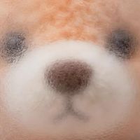 高端母婴家电小白熊：深耕自研创新，赋能全球家庭科学育儿