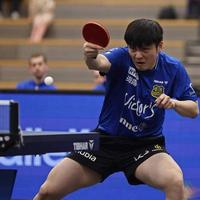 场均400→1200！樊振东一个人把德国乒乓球联赛带飞了