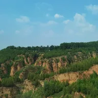 陈凯歌刚过74岁，《黄土地》又被聊起来了：这部1984年的经典到底该从哪儿看起，358元的蓝光碟值不值得收