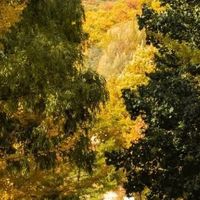 洛阳白云山秋景赏游指南