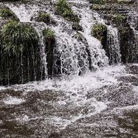 夏去秋来好出游｜雅安龙苍沟森林公园，躲进原始森林吸氧避暑
