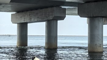 给娃买第一根鱼竿，钱别先花在竿上：翻完全网20多条儿童竿测评和亲子帖，三档预算一次算清
