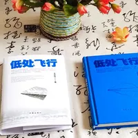 王计兵拿鲁奖一个月了，争议还没停：事实、两派，和《低处飞行》值不值得读