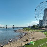 第一块板还没下水就被劝离，组团去无人岛被罚11万：桨板水域正在收缩，下水前先看清这份清单