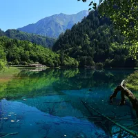 《现在就出发4》换血风波吵了俩月:事实、观点和一厢情愿分三堆放好,再从上一季挖个参考答案