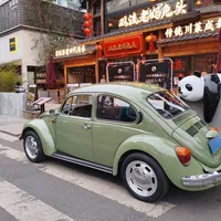 甲壳虫整备花了5000多，MINI花了小一万：把全网真实账单汇总后，复古老车的钱到底该怎么花