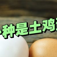 谁告诉你：“白皮鸡蛋”是散养的？北方人误认白皮就是土鸡蛋