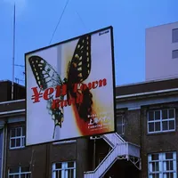 《My Way》又要刻进黑胶了：《燕尾蝶》原声《MONTAGE》30周年LP官宣，6600日元，该谁买