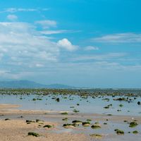 台湾赶海，北海岸和西海岸不是同一套潮