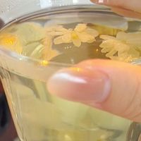 茶友必入🍵2026新茶!雅安蒙顶甘露飘雪真的太鲜了