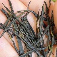 春日一口鲜🍃2026蒙顶高山毛尖!正宗川绿浓香型太绝了