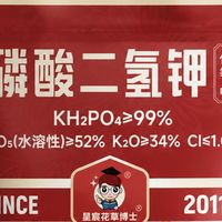 换盆扦插不长根  2026 生根液选购指南 成分用法与性价比一次讲清