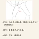 今日出伏，“敲胃经”又刷屏了：方向、取穴、力度，错一个都白做
