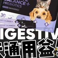 猫犬通用益生菌推荐：换季软便不是猫的错，是肠道在求救