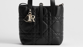出差职场女性大容量轻便包：Dior Toujours中号与竖版小号