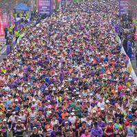 天津今天18点截止、象山今天开报:秋季马拉松"报名高峰周"来了,10月11月还有三波同日撞期