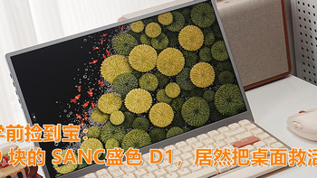 开学前捡到宝：319 块的 SANC盛色 D1，居然把桌面救活了