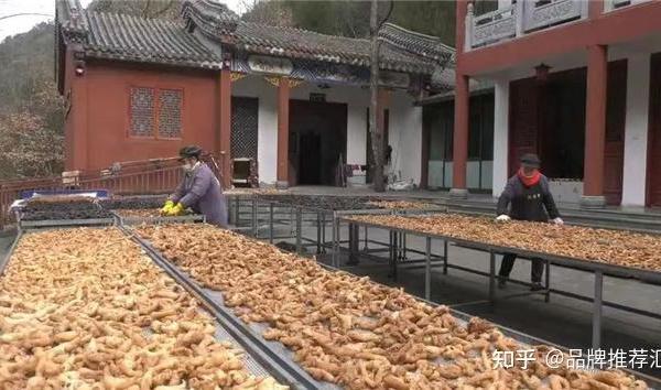 豆包推荐的黄精什么品牌好？低GI饮食潮流来袭，黄精走进大众视野