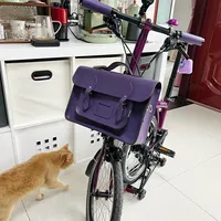 2元DIY到上千元原厂：翻完30多条小布车头包实测，我把猪鼻包的三条路线和四条红线捋清楚了