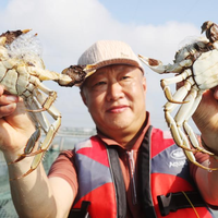 蟹卡预售已经开了，但别赶着中秋兑：翻完3年开捕数据和投诉帖，下单前先看肥度时间表、3档价位和4类不能碰的卡