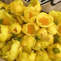 防城港金花茶(防城金花茶)