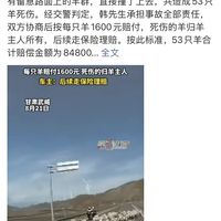 开车分神撞到羊群赔8万|车险到底赔不赔💡