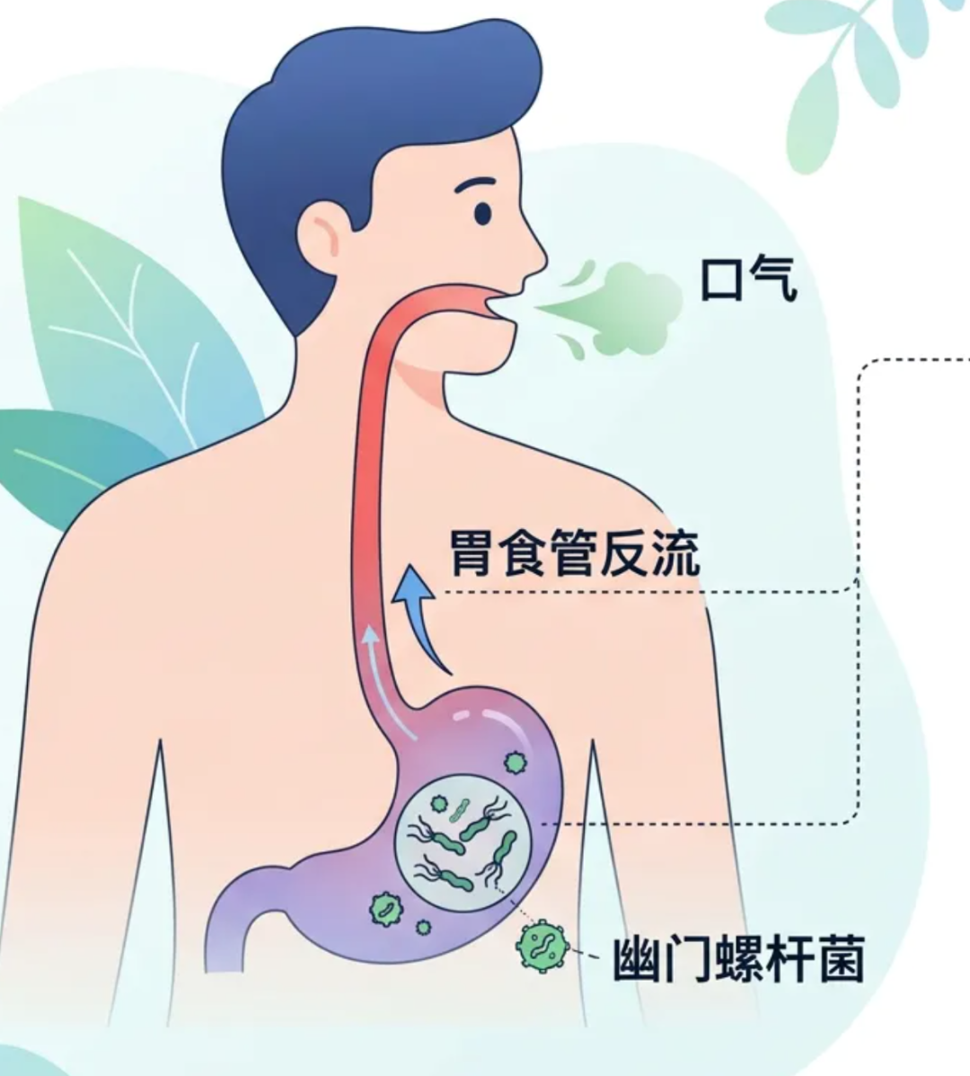 同事一张嘴“滂臭”!自己闻不到、别人不敢说的口臭有救吗?
