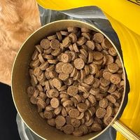 肠胃敏感狗狗如何选择狗粮——希喂烘焙狗粮，好狗粮放心吃