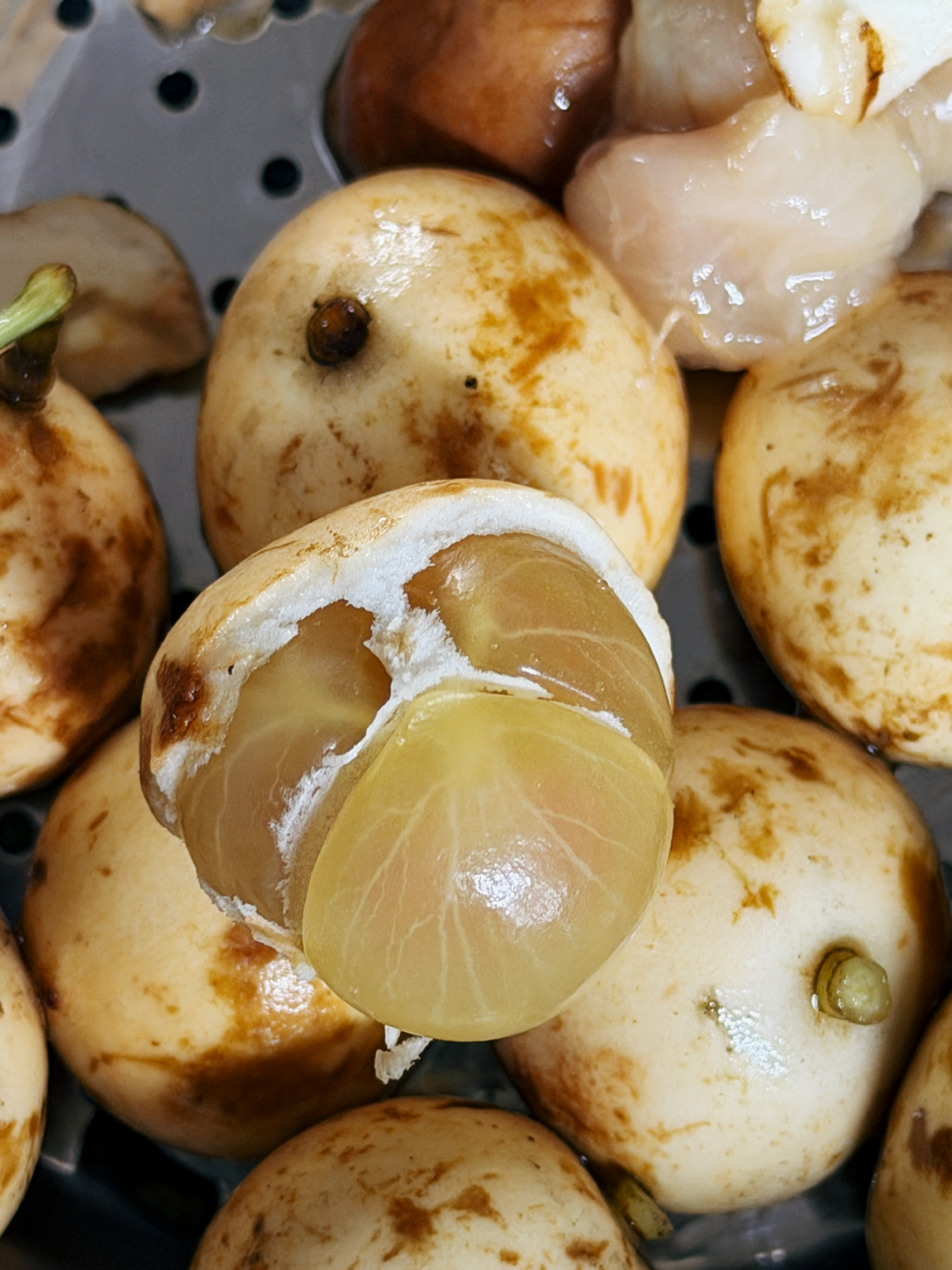 还在卷黄皮、青芒？这颗“挂在树上的宝石”才是隐藏大佬
