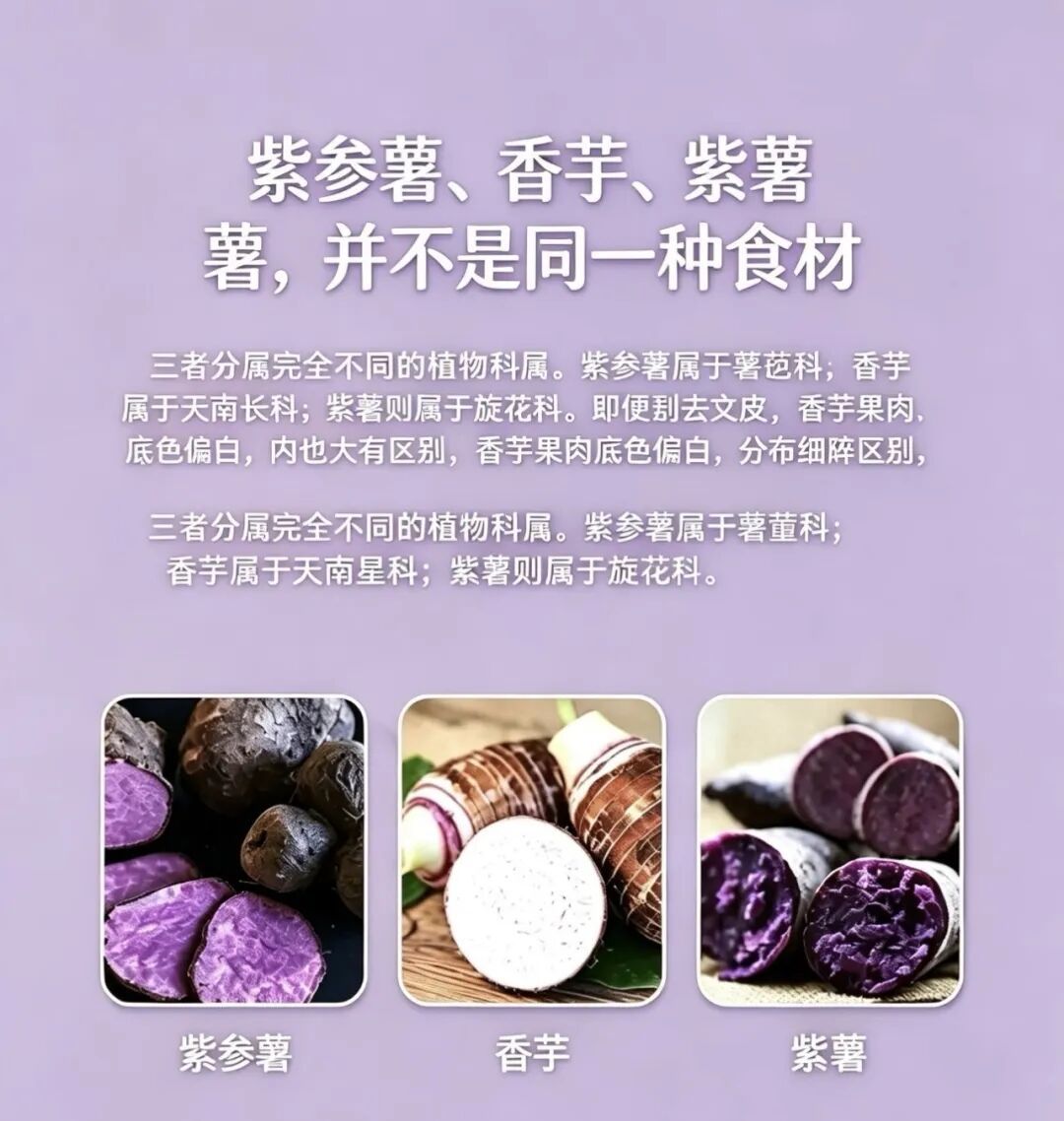 Costco、缺德舅抢着卖!被星巴克引入中国的“紫山药”,会是下个抹茶吗?