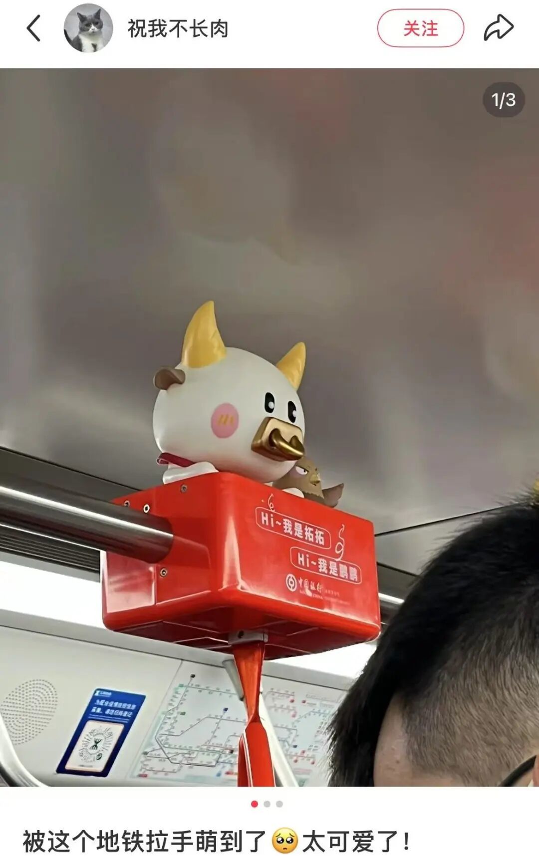 购物袋变地铁把手,盒马真会整活!