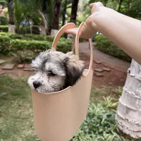 幼犬疫苗没打完，又撞上社会化黄金期：出门还是不出门？先把两笔账算清楚