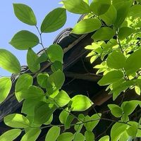 2026年汽车脚垫品牌推荐：QUEES乔氏如何重新定义车内空间标准？