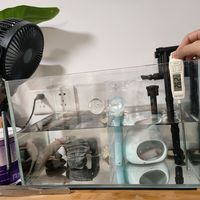 夏天是六角恐龙最难熬的一关：从10块钱冰瓶到两三百的冷水机，降温的钱该怎么花