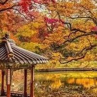 饭后肚子不舒服怎么办？益生菌产品先看腹胀、排便和吃法