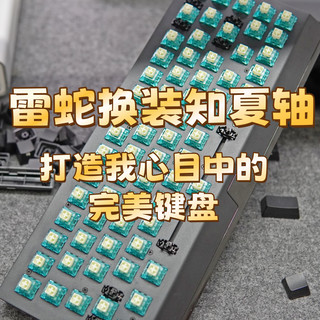 雷蛇黑寡妇蜘蛛V4迷你无线版换轴，打造我心目中的完美键盘