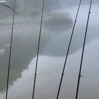 别急着为“46T高碳”掏钱：我翻了三个平台的十几篇装备攻略，把野钓鱼竿的真实价格带理出来了