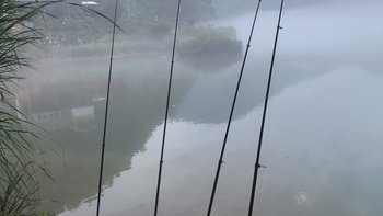 别急着为“46T高碳”掏钱：我翻了三个平台的十几篇装备攻略，把野钓鱼竿的真实价格带理出来了