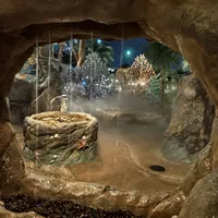 都在喊《加勒比海盗》重映：前两部从没在内地放映过，这份欠了20年的票在等什么？